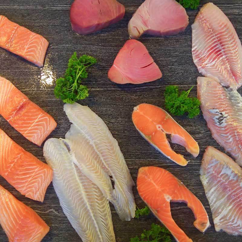 Wholesale hotsell fish suppliers