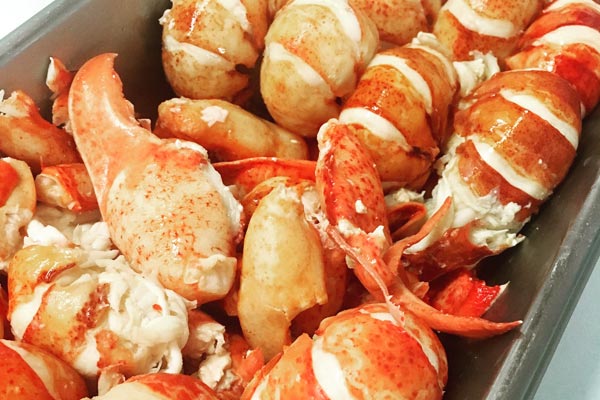 Handpicked Fresh Lobster Meat